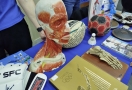 Мастер-классы, песни и игры: как прошла «Библионочь - 2026» в Омске (фото)