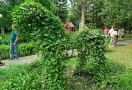 Ежегодная выставка или прогулка по саду? Фоторепортаж о том, что интересного было на «Флоре»