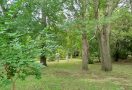 Ежегодная выставка или прогулка по саду? Фоторепортаж о том, что интересного было на «Флоре»