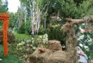 Ежегодная выставка или прогулка по саду? Фоторепортаж о том, что интересного было на «Флоре»