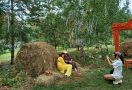 Ежегодная выставка или прогулка по саду? Фоторепортаж о том, что интересного было на «Флоре»