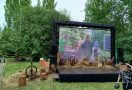 Ежегодная выставка или прогулка по саду? Фоторепортаж о том, что интересного было на «Флоре»