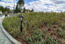 Как преобразилась набережная Иртыша: фотопрогулка у Омской крепости