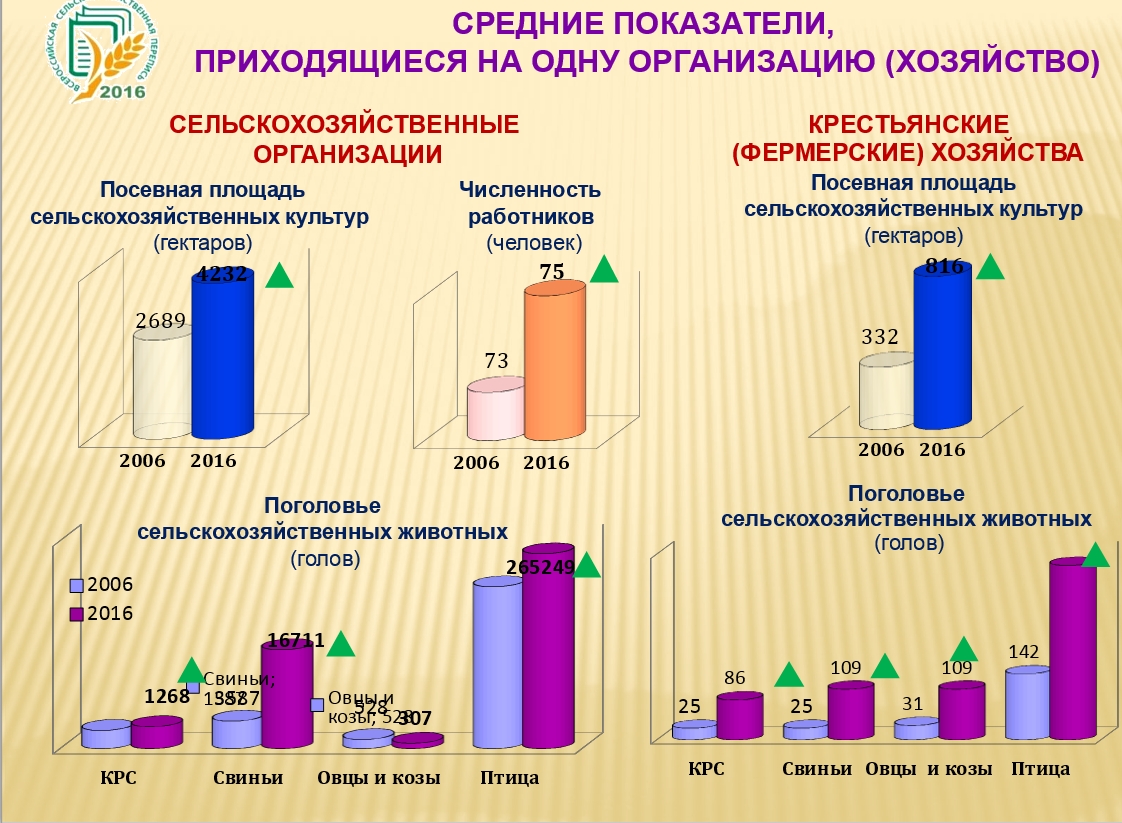 Хозяйство омской